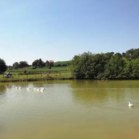 Soum De Coste Holiday home *